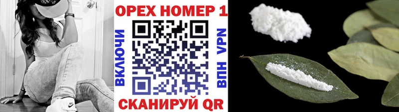 мега ссылка  Кохма  Cocaine Fish Scale 