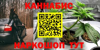шишки Волгодонск