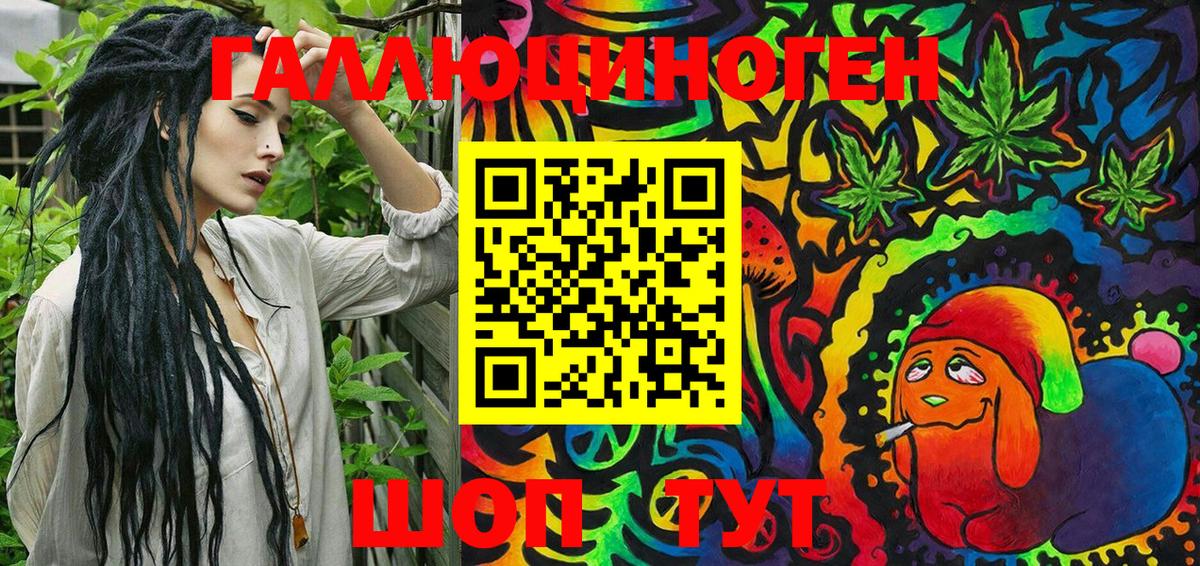 Псилоцибиновые грибы Psilocybe Кохма