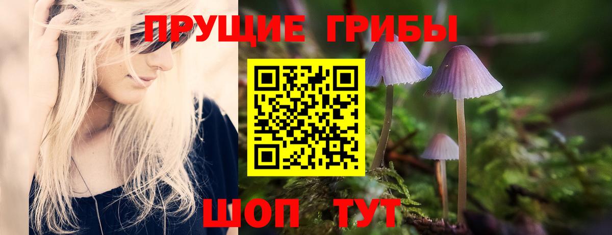 закладка  Вход с VPN  Кохма  Псилоцибиновые грибы мицелий 